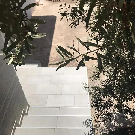 Alpha Apartaments